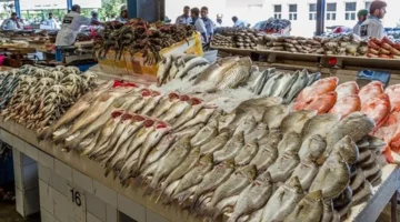 تحديثات الأسواق.. تباين أسعار البلطي والجمبري والمكرونة في تعاملات اليوم بالمحافظات ومنطقة القنال